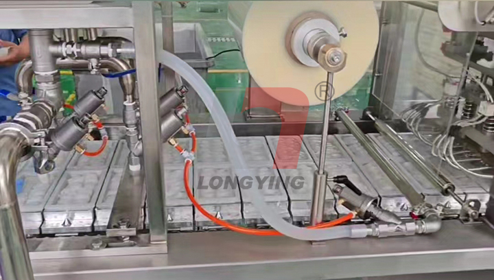 全自動(dòng)魔芋絲結(jié)灌裝封口機(jī)