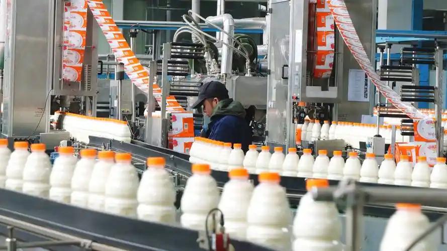 營(yíng)養(yǎng)快線生產(chǎn)線